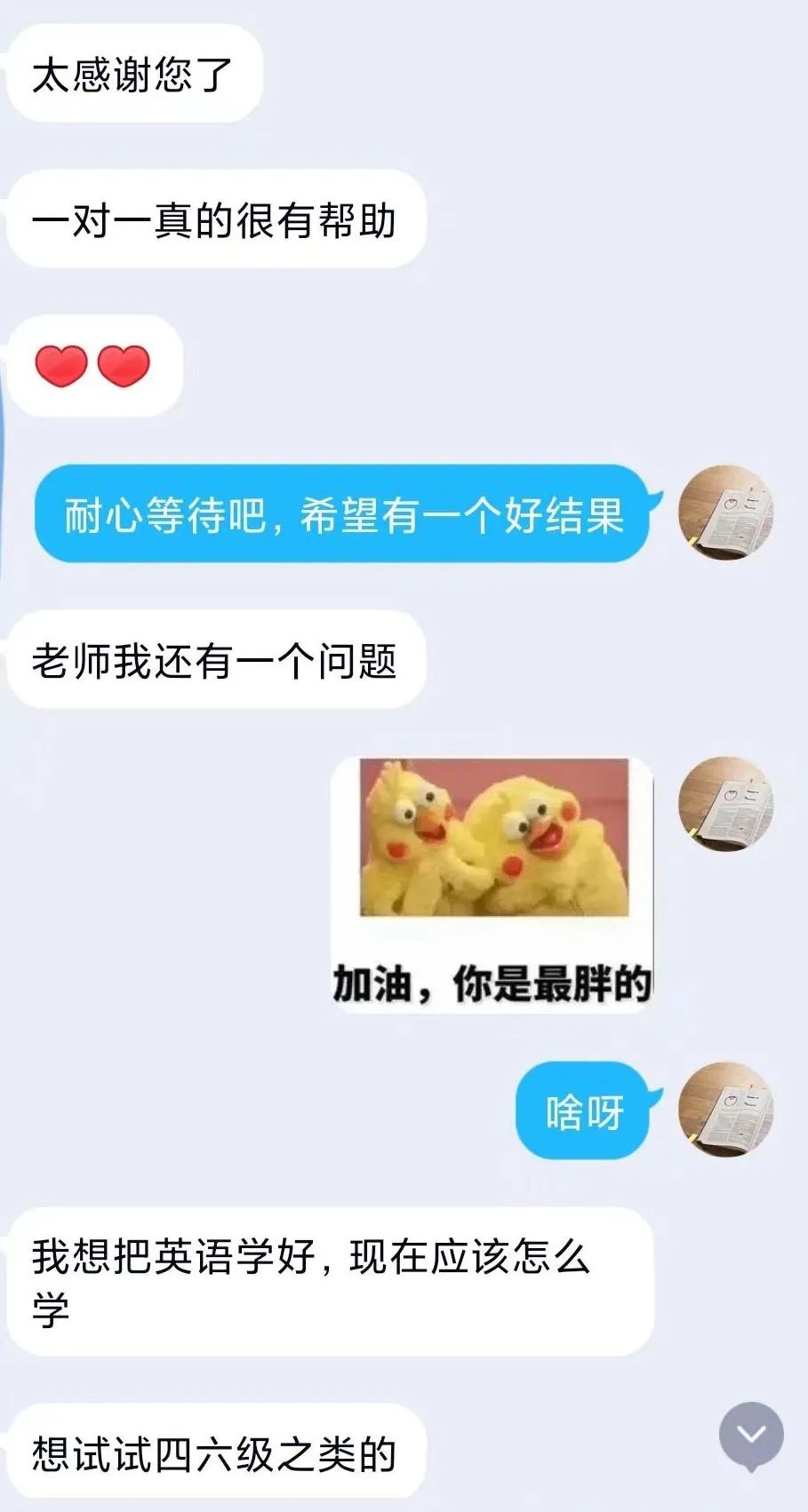 学冠教育带你走进考研英语好老师万翔浩：让每一片绿叶充分享受到阳光